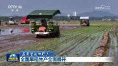 提拔种植精准度和效